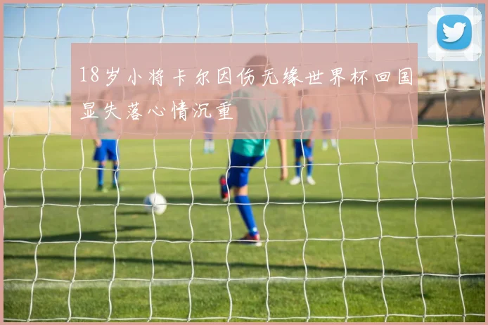 18岁小将卡尔因伤无缘世界杯回国显失落心情沉重