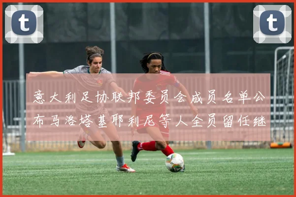 意大利足协联邦委员会成员名单公布马洛塔基耶利尼等人全员留任继续服务