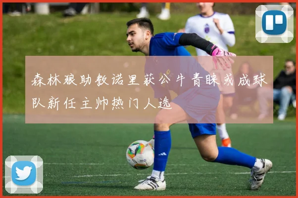 森林狼助教诺里获公牛青睐或成球队新任主帅热门人选