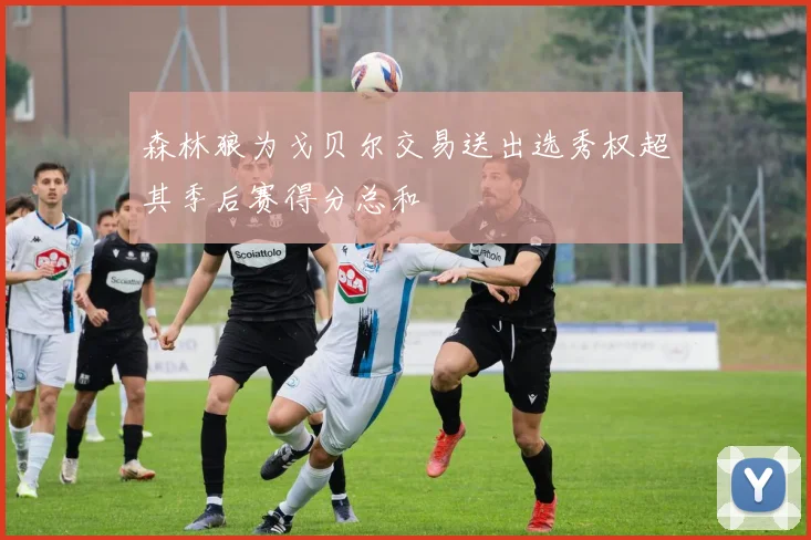 森林狼为戈贝尔交易送出选秀权超其季后赛得分总和